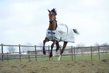 Bucas Power Turnout Light Rug