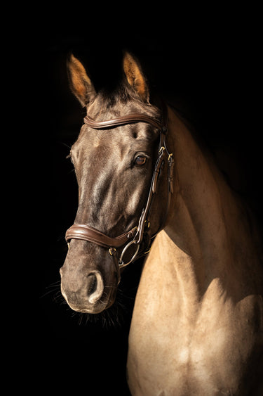 ProPresicce Pelle Drop Leather Bridle by Hy Equestrian| Online For Equine