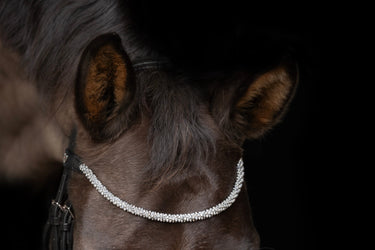 ProPresicce Signature Crystal Diamante Browband by Hy Equestrian| Online For Equine