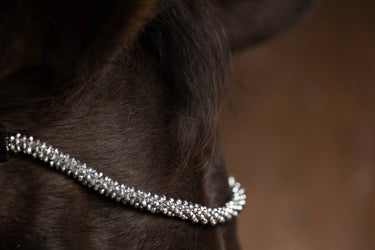 ProPresicce Signature Crystal Diamante Browband by Hy Equestrian| Online For Equine