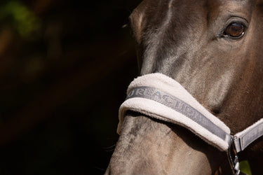 ProReaction Dura Fleece Head Collar by Hy Equestrian| Online For Equine