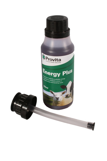 Provita Energy Plus| Online For Equine
