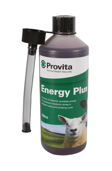 Provita Energy Plus| Online For Equine
