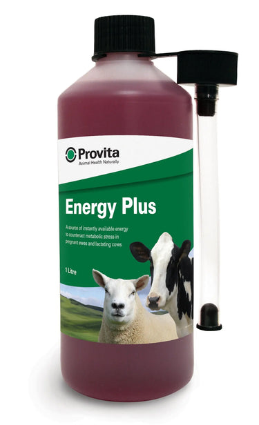 Provita Energy Plus| Online For Equine