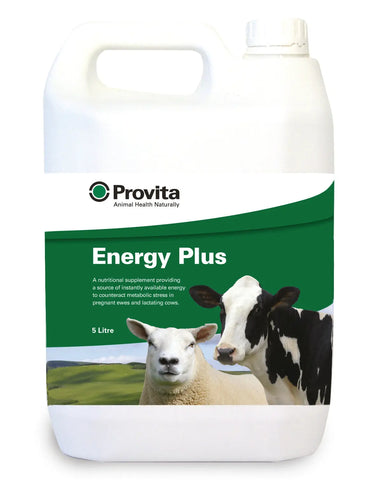 Provita Energy Plus| Online For Equine