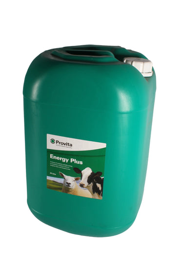 Provita Energy Plus| Online For Equine