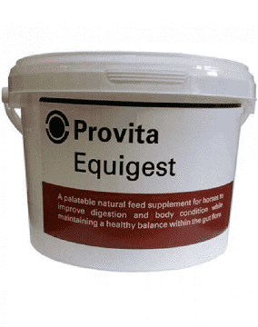 Provita Equigest| Online For Equine