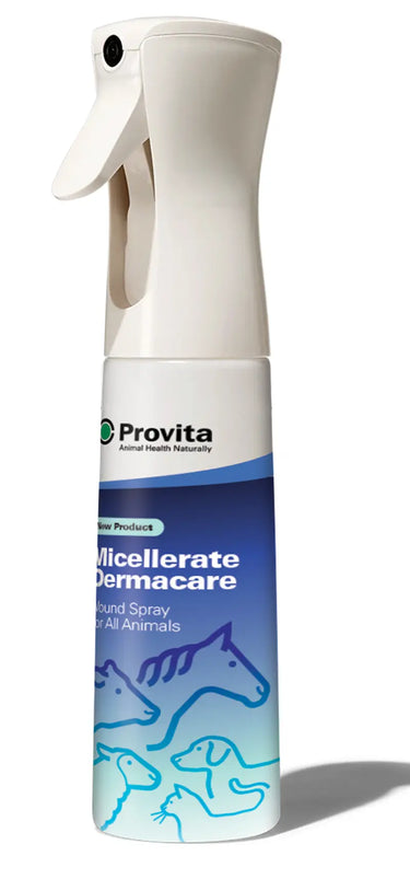 Provita Micellerate| Online For Equine