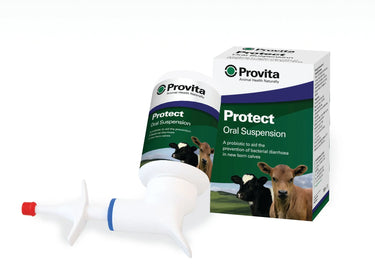 Provita Protect| Online For Equine