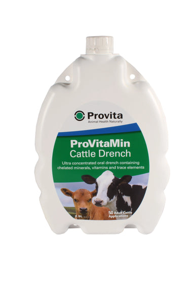 Provita Provitamin Cattle Drench| Online For Equine