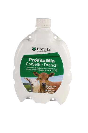 Provita Provitamin Co, Sel & B12 Drench| Online For Equine