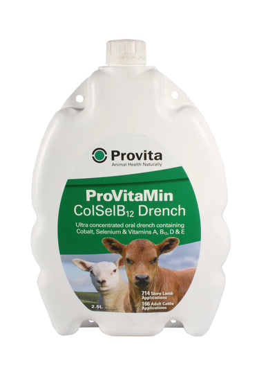 Provita Provitamin Co, Sel & B12 Drench| Online For Equine
