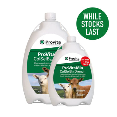 Buy Provita Provitamin Colselb12 Promo Pack | Online for Equine