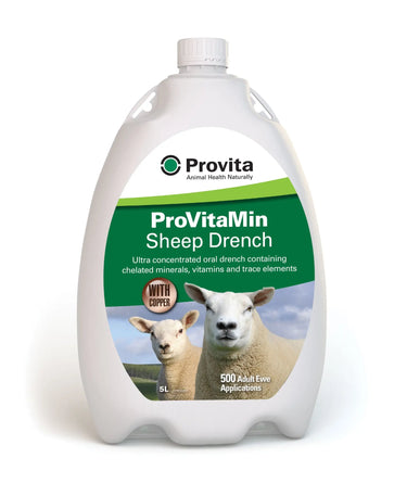 Provita Provitamin Sheep Drench + Copper| Online For Equine