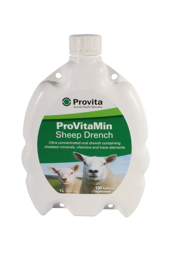Provita Provitamin Sheep Drench| Online For Equine