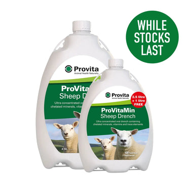 Buy Provita Provitamin Sheep Promo Pack | Online for Equine