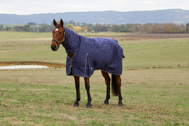 Weatherbeeta Comfitec Prelim Turnout Combo 220G Navy Embossed Plaid
