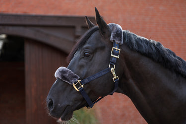 Bucas Show-Line Half Fur Halter