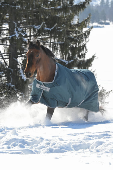 Bucas Atlantic Turnout 400g Rug