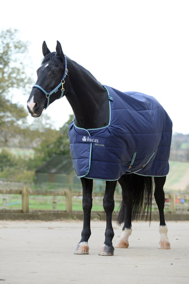 Bucas Quilt 300g Stay-Dry Rug