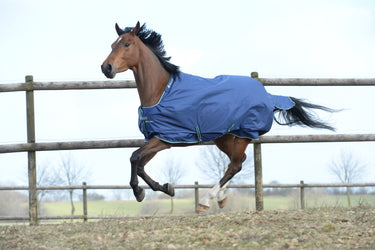 Bucas Smartex Rain Horse Rug Blue
