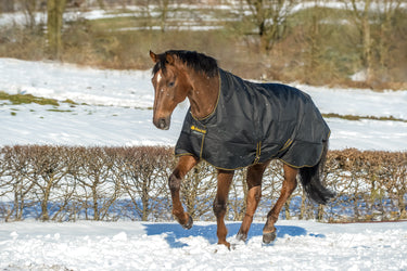 Bucas Irish Turnout 300g High Neck Rug
