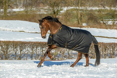 Bucas Irish Turnout 300g Rug