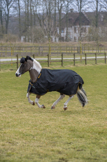 Bucas Irish Turnout 50g Pony Rug