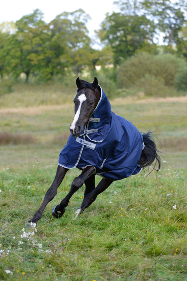 Bucas Freedom Turnout 300g/150g Full Neck Rug