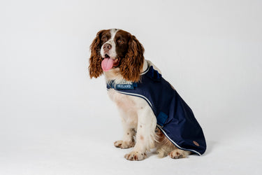 Horseware Ireland Newmarket Dog Coat Witney Navy