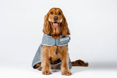 Horseware Ireland Newmarket Dog Coat Witney Charcoal