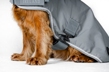 Horseware Ireland Newmarket Dog Coat Witney Charcoal