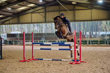 Racesafe VeloAir Black Adult| Online For Equine