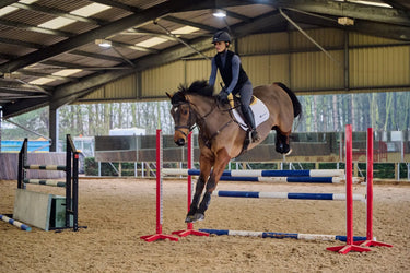 Racesafe VeloAir Black Adult| Online For Equine