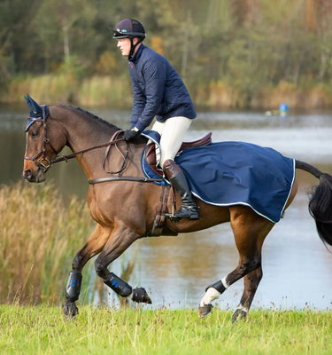 Buy Rambo Waterproof Fleece Competition Sheet| Online for Equine