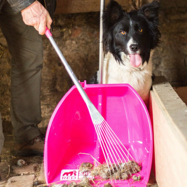 Buy Red Gorilla Big Tidee with Long Rake| Online for Equine