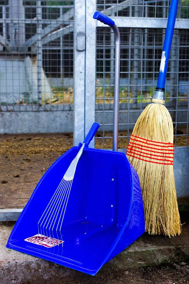 Buy Red Gorilla Big Tidee with Rake| Online for Equine