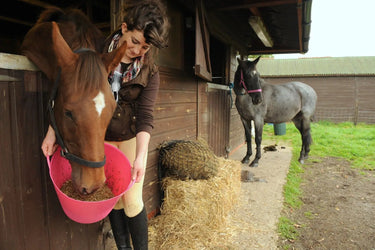 Buy Red Gorilla Medium Flexible Tub (26L)| Online for Equine