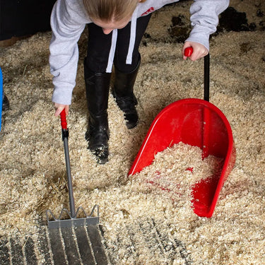 Red Gorilla Teenie Tidee| Online For Equine