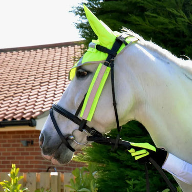 Reflector Bridle Bands by Hy Equestrian| Online For Equine