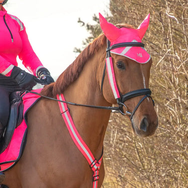 Reflector Ear Bonnet by Hy Equestrian| Online For Equine