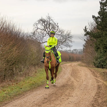 Reflector Ear Bonnet by Hy Equestrian| Online For Equine