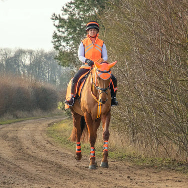 Reflector Elasticated Hat Band by Hy Equestrian| Online For Equine