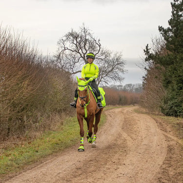 Reflector Elasticated Hat Band by Hy Equestrian| Online For Equine