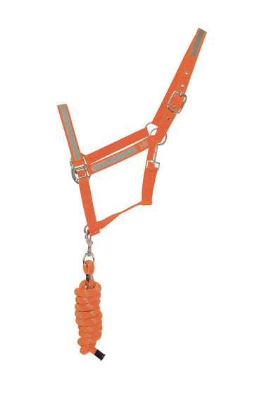 Reflector Head Collar & Lead Rope by Hy Equestrian| Online For Equine