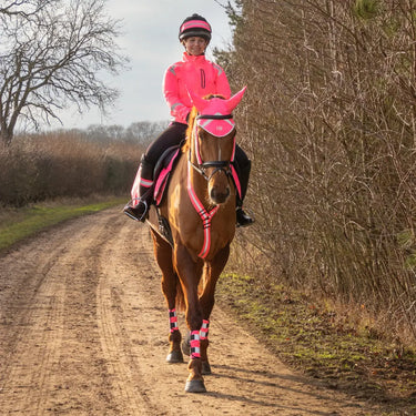 Reflector Jacket by Hy Equestrian| Online For Equine