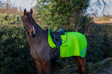 Reflector Quarter Mesh Exercise Sheet by Hy Equestrian| Online For Equine