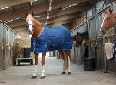 Riding World 300g Heavyweight Stable Rug| Online For Equine