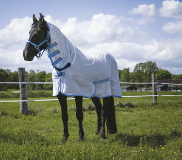 Buy Riding World Combo Mesh Fly Rug| Online for Equine