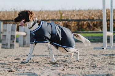 Riding World Eco 600D Dog Rug| Online For Equine